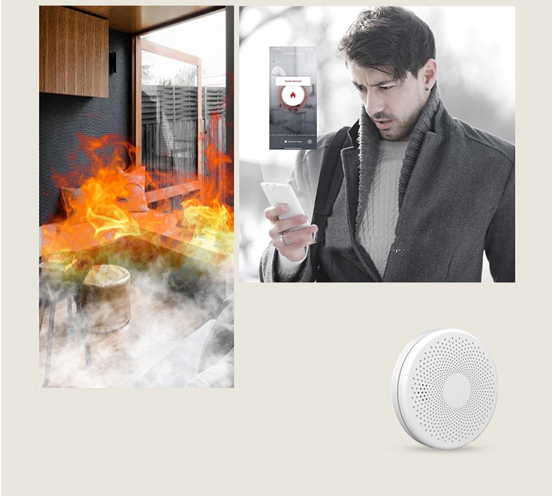 TLL*>Best wifi smoke CO detector 2 in 1 carbon monoxide smoke alarm with app € 44,39