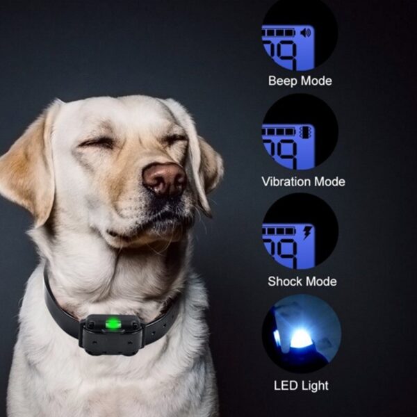 800m radius wireless dog training collar with rf remote € 48,24