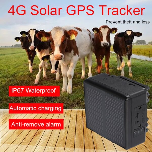 Mājdzīvnieku saules GPS 4G izsekotājs 4000mAh liellopu govs aitas zirgs RF-V24 Google Maps
