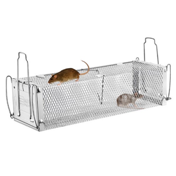 Humane live mouse rat catching trap